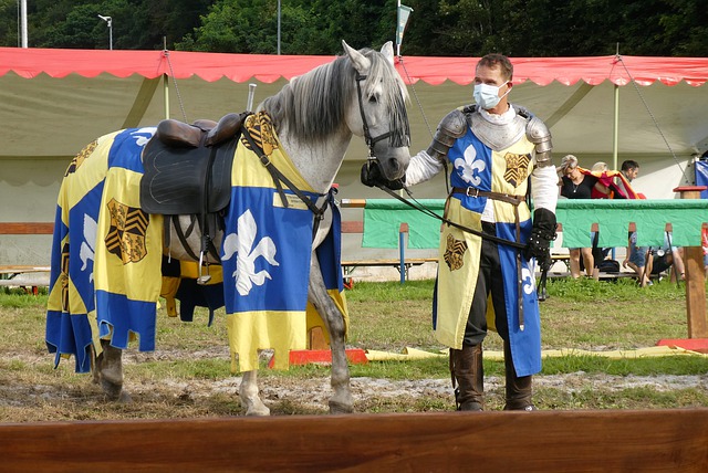 写作领域百 写作领域百