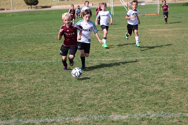 切尔西的锋 切尔西的锋