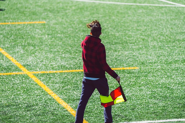 作为后场的 作为后场的